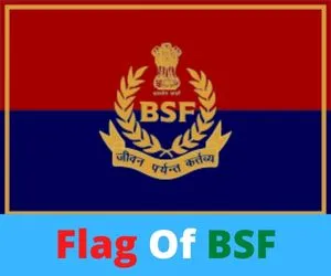 Flag Of BSF