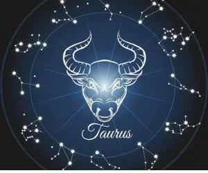 Rudraksha Taurus