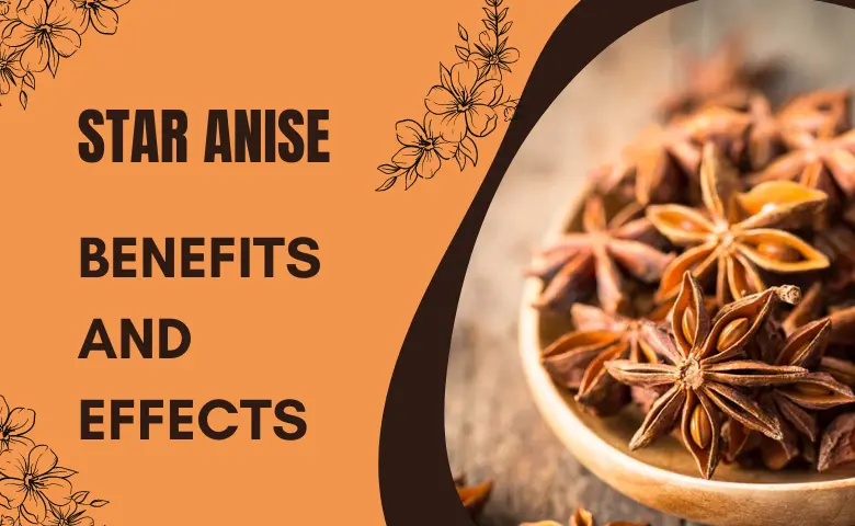 Star Anise – Benefits and Effects