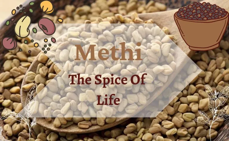 Fenugreek (Methi)- The Spice of Life in Ayurveda
