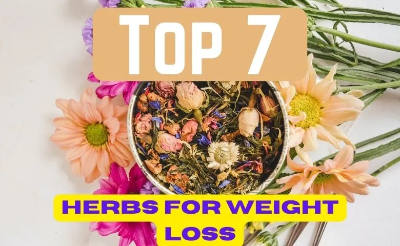 7 herbs for weight loss
